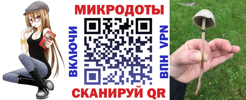 Псилоцибиновые грибы GOLDEN TEACHER Невельск