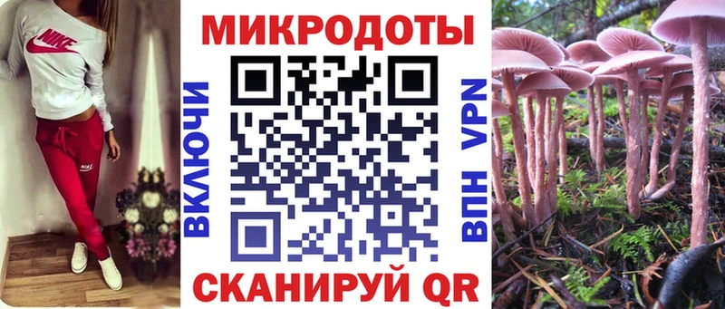 Псилоцибиновые грибы Cubensis  где купить наркоту  Невельск 